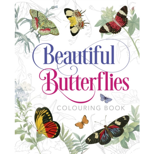 Arcturus publishing ltd Beautiful Butterflies Colouring Book (häftad, eng)