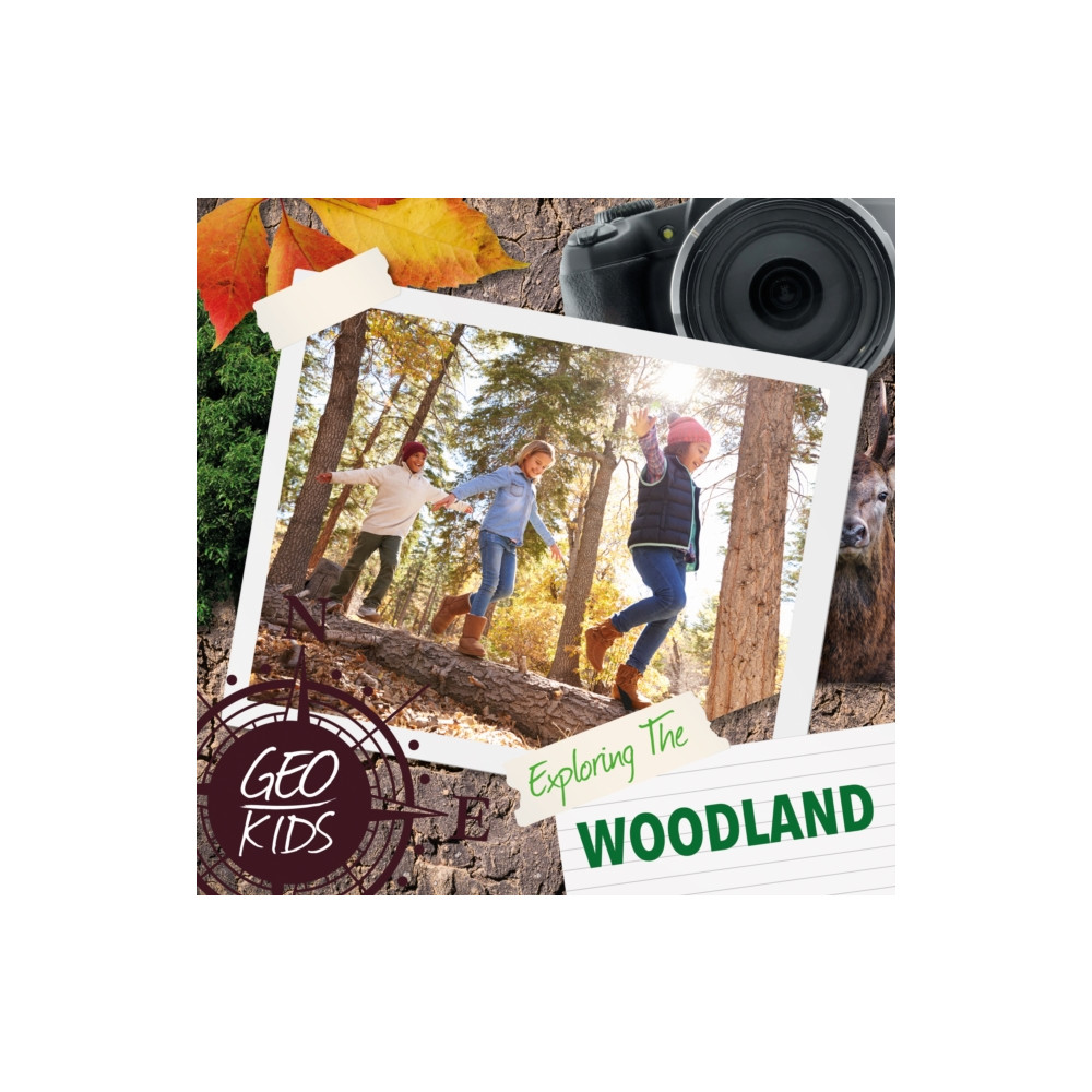 Produktbild för Exploring the Woodland (inbunden, eng)