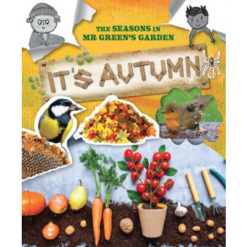 Ruby Tuesday Books Ltd The Seasons In Mr Green's Garden (häftad, eng)