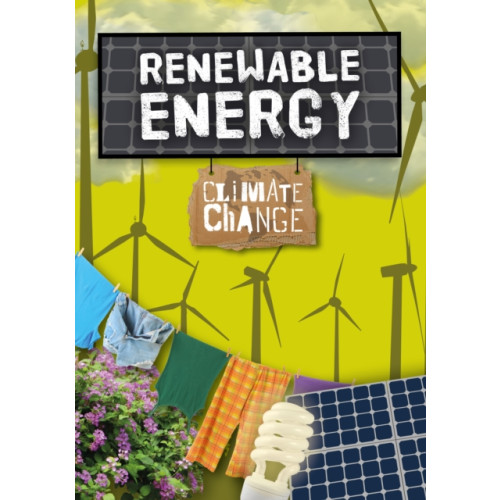 The Secret Book Company Renewable Energy (häftad, eng)