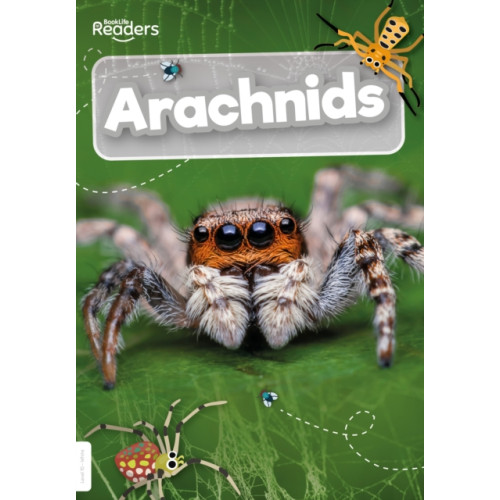 BookLife Publishing Arachnids (häftad, eng)