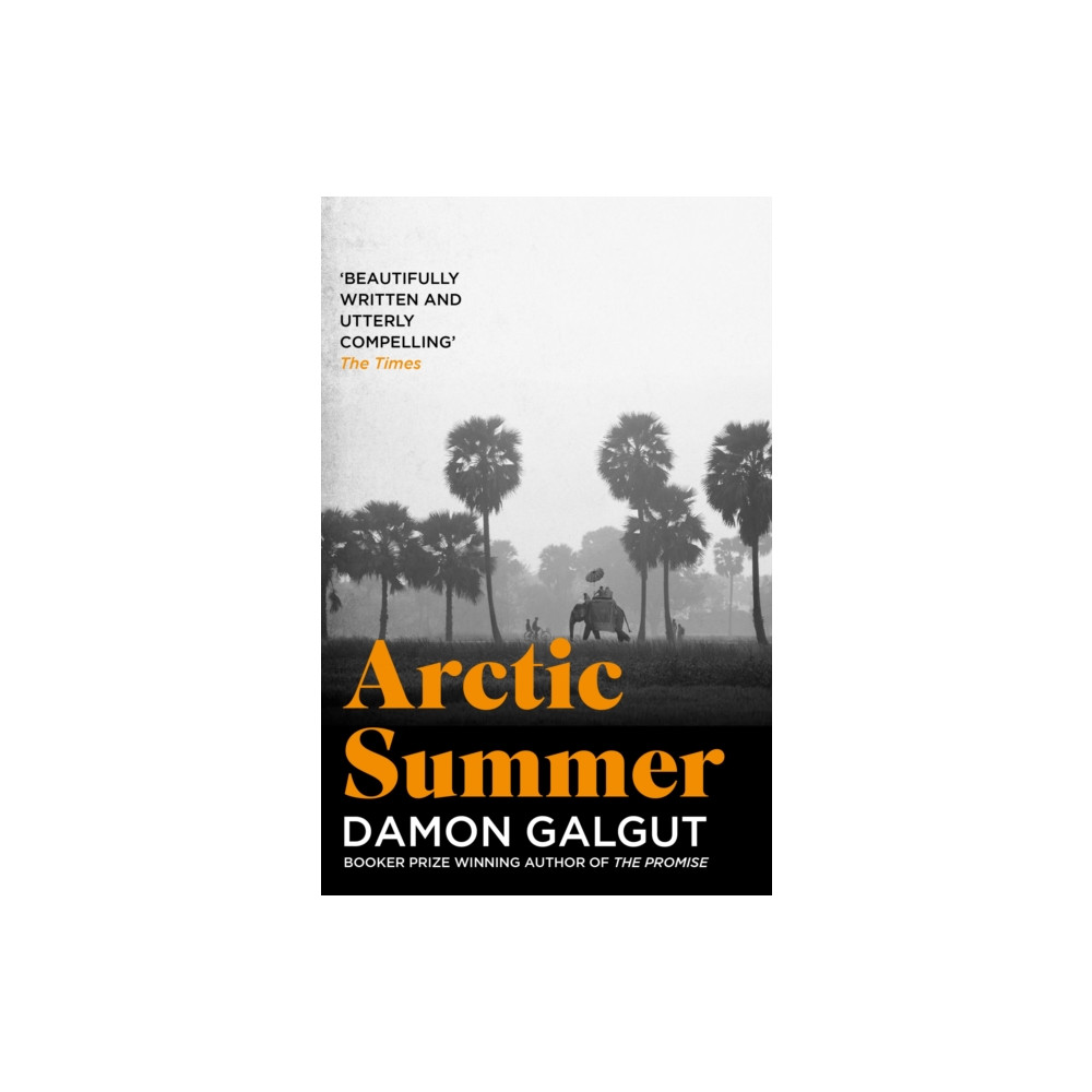 Produktbild för Arctic Summer (häftad, eng)