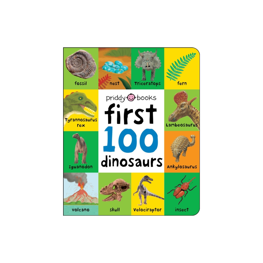 Produktbild för First 100 Dinosaurs (bok, board book, eng)