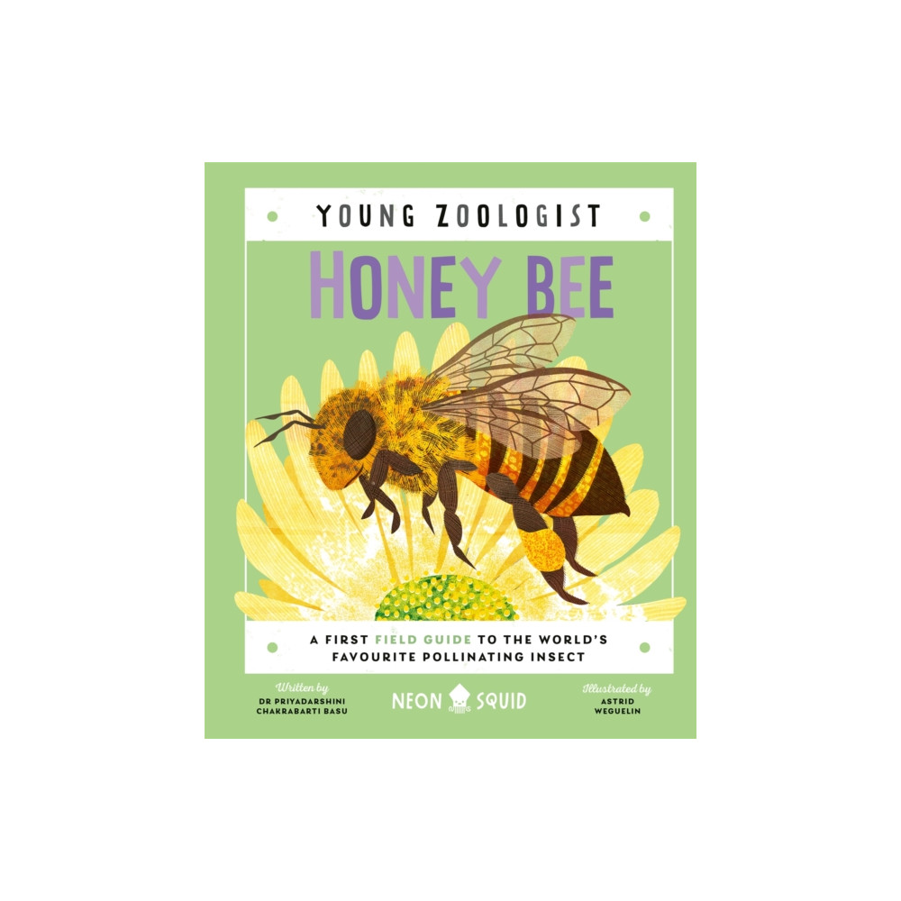Produktbild för Honey Bee (Young Zoologist) (inbunden, eng)