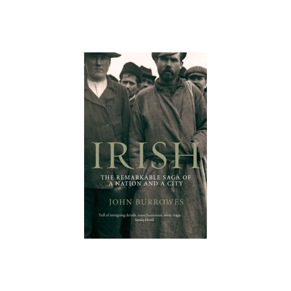 Produktbild för Irish (häftad, eng)
