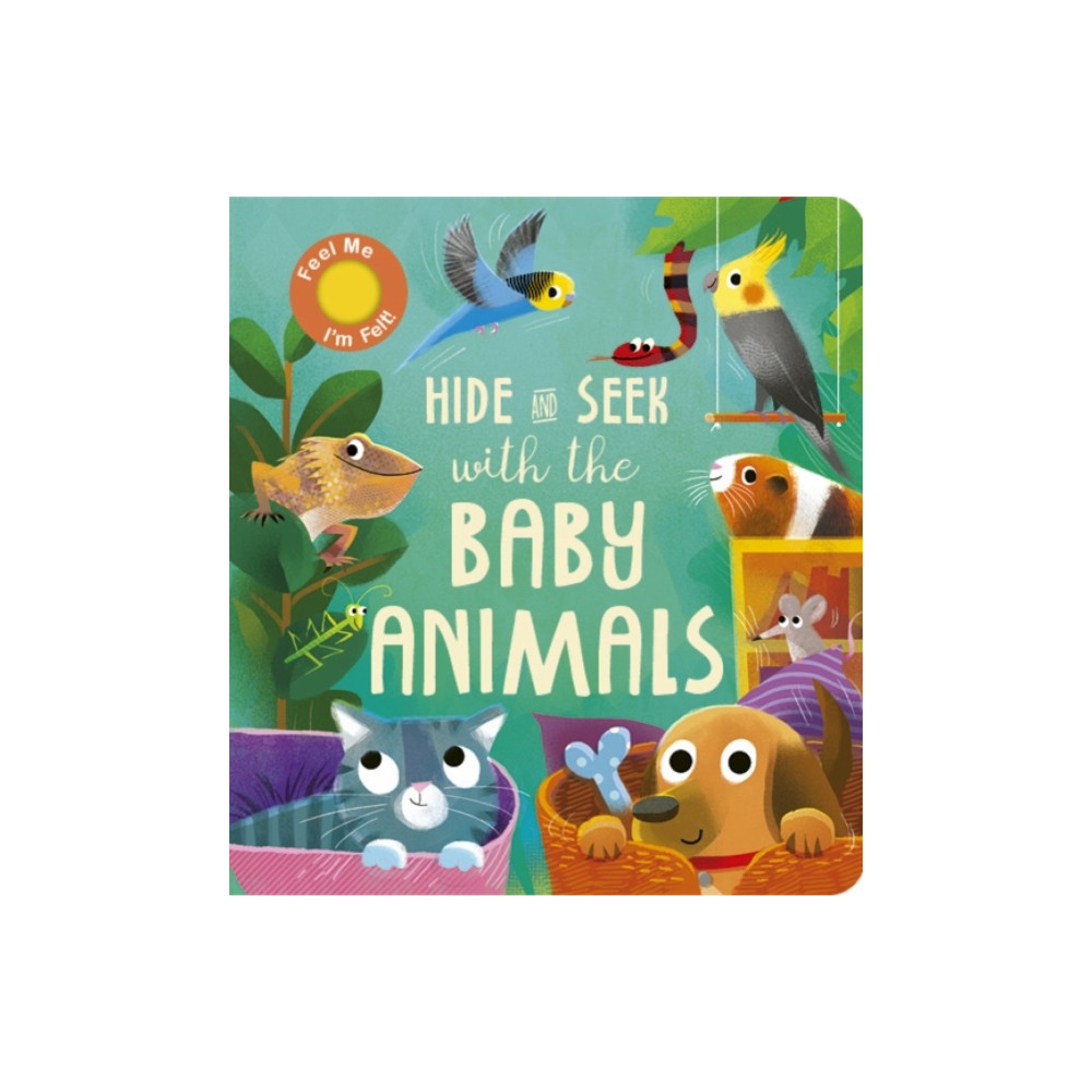 Produktbild för Hide and Seek with the Baby Animals (bok, board book, eng)