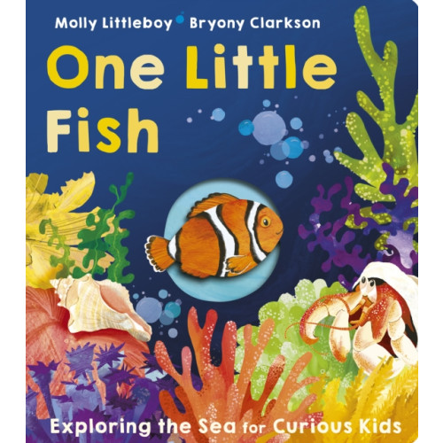 Little Tiger Press Group One Little Fish (bok, board book, eng)