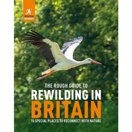 APA Publications The Rough Guide to Rewilding in Britain (häftad, eng)