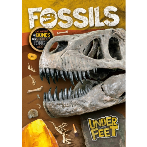 BookLife Publishing Fossils (häftad, eng)