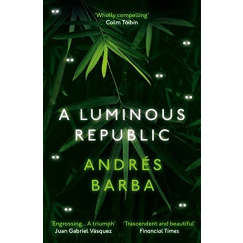 Granta Books A Luminous Republic (häftad, eng)