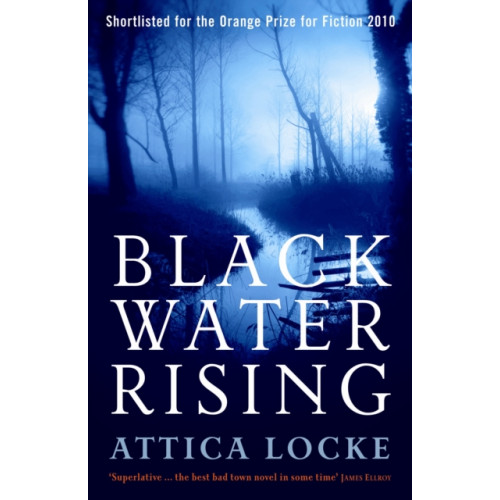 Profile Books Ltd Black Water Rising (häftad, eng)