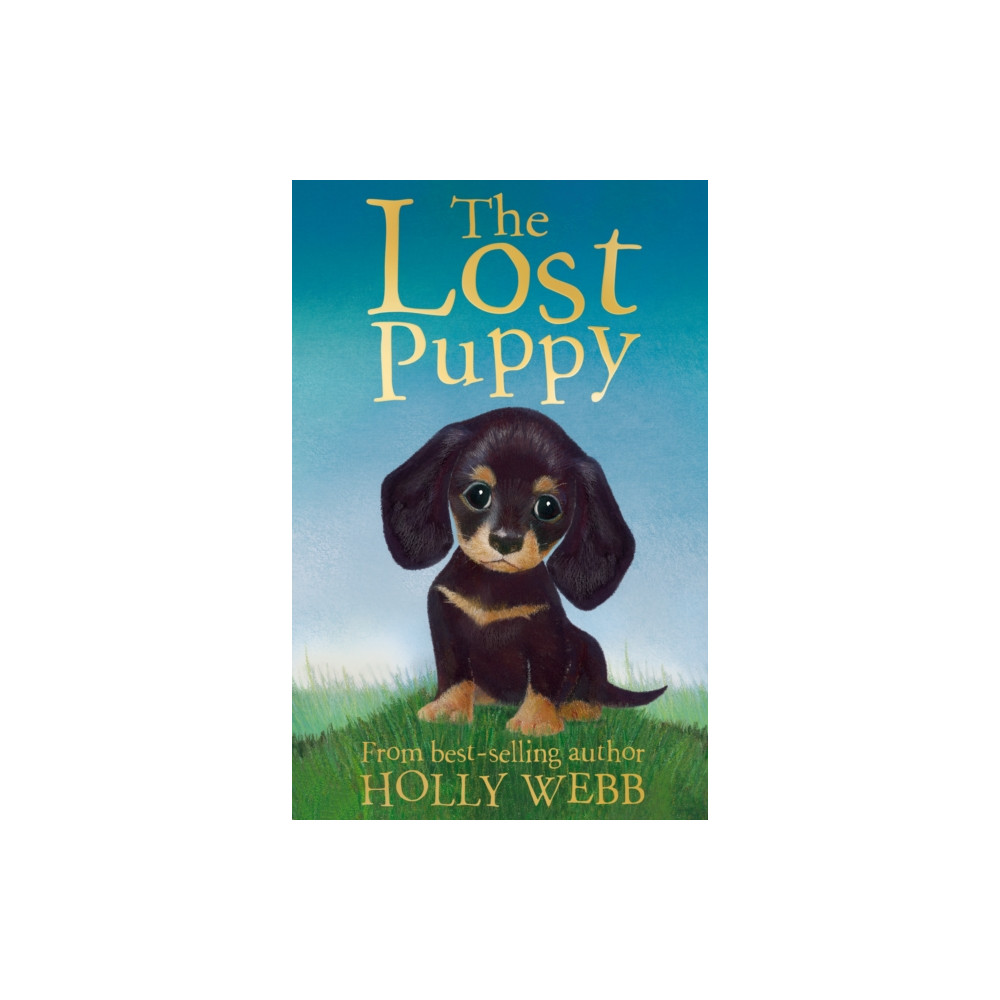 Produktbild för The Lost Puppy (häftad, eng)