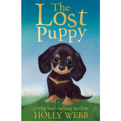 Little Tiger Press Group The Lost Puppy (häftad, eng)
