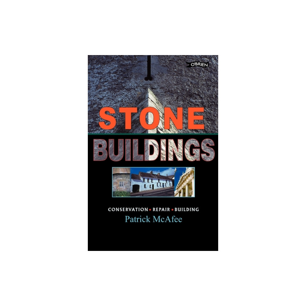 Produktbild för Stone Buildings (häftad, eng)