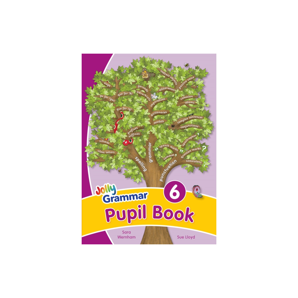 Produktbild för Grammar 6 Pupil Book (häftad, eng)
