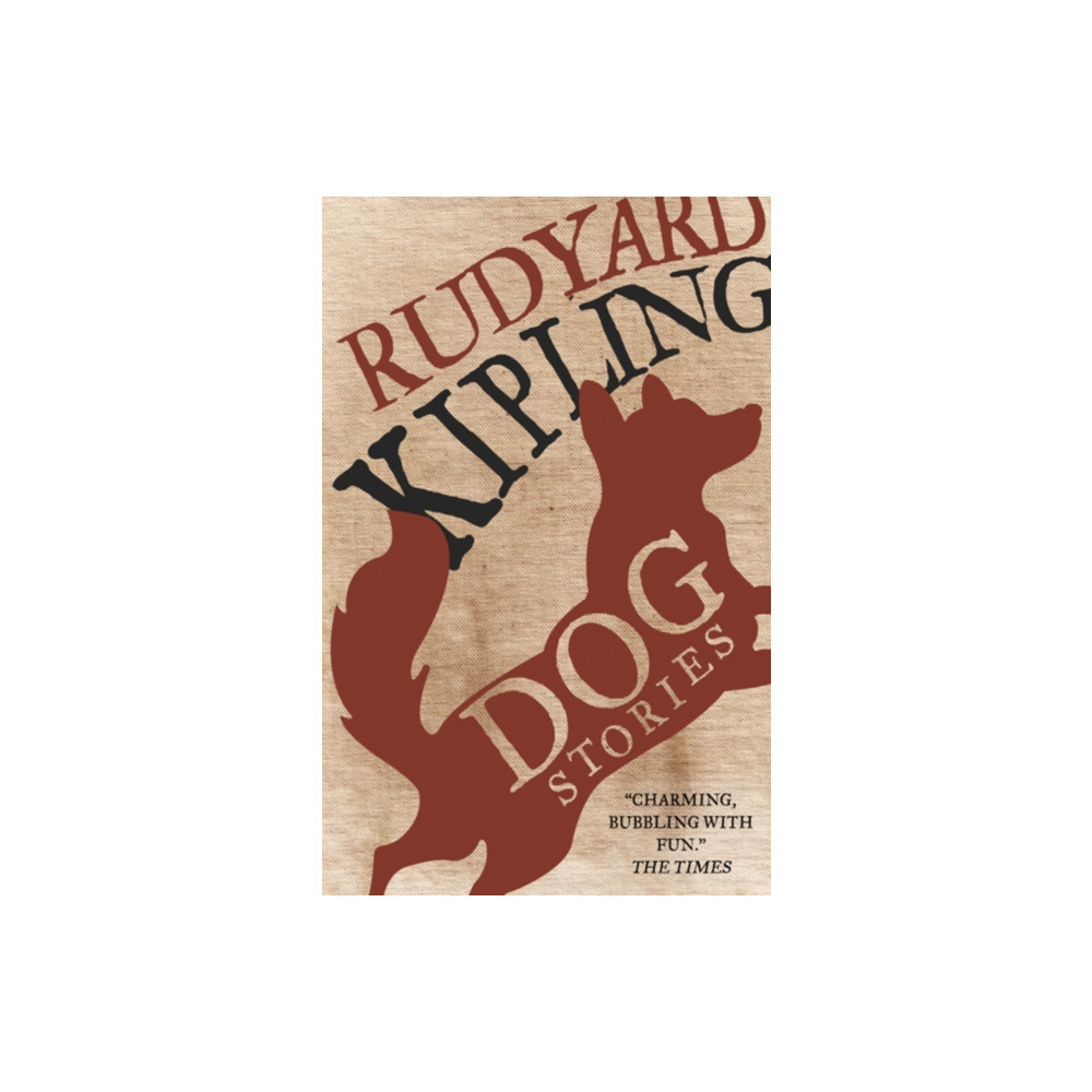 Produktbild för Dog Stories (häftad, eng)