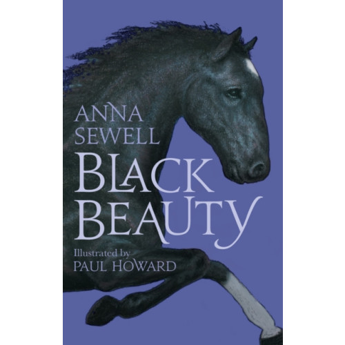Alma Books Ltd Black Beauty (häftad, eng)