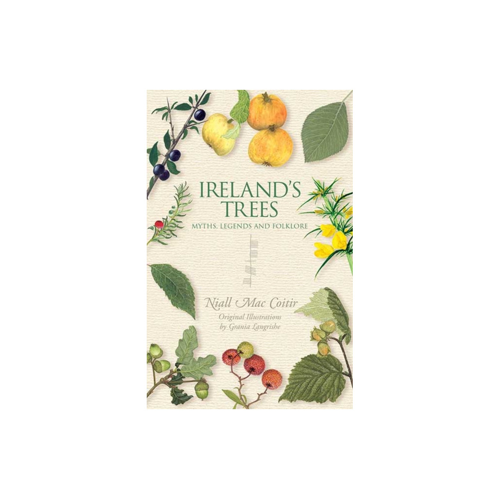 Produktbild för Ireland's Trees (häftad, eng)