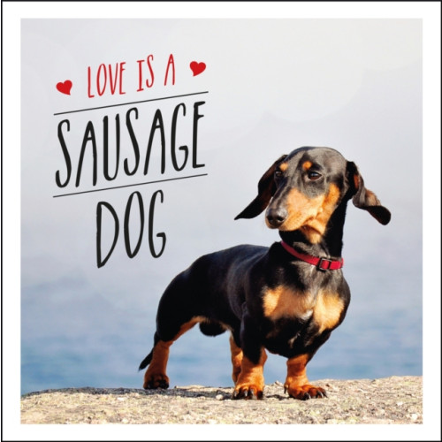 Octopus publishing group Love is a Sausage Dog (inbunden, eng)