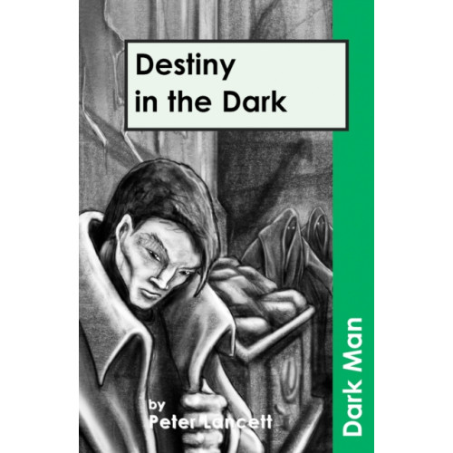 Ransom Publishing Destiny in the Dark (häftad, eng)