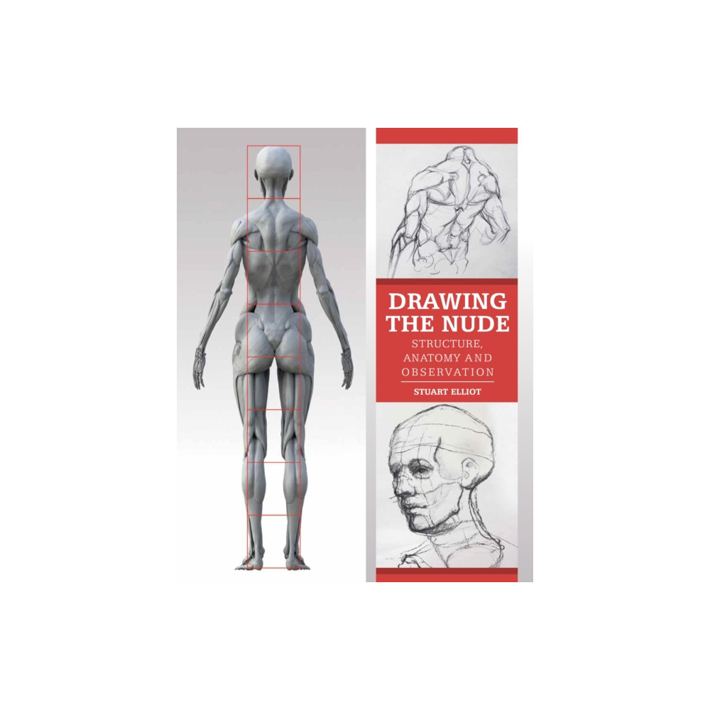 Produktbild för Drawing the Nude (häftad, eng)