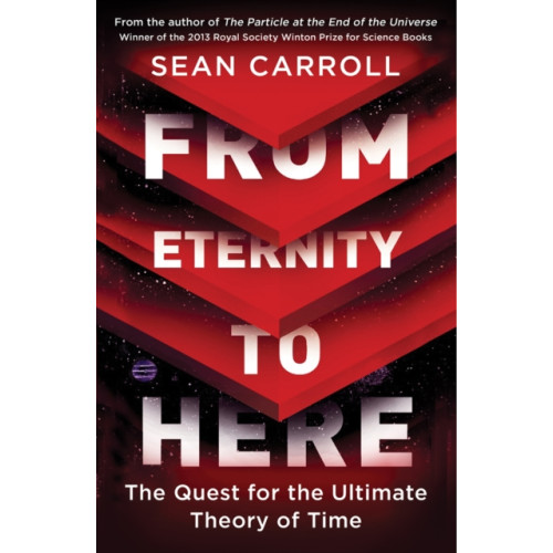 Oneworld Publications From Eternity to Here (häftad, eng)