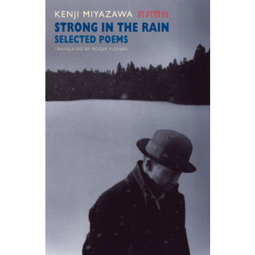 Bloodaxe Books Ltd Strong In the Rain (häftad, eng)