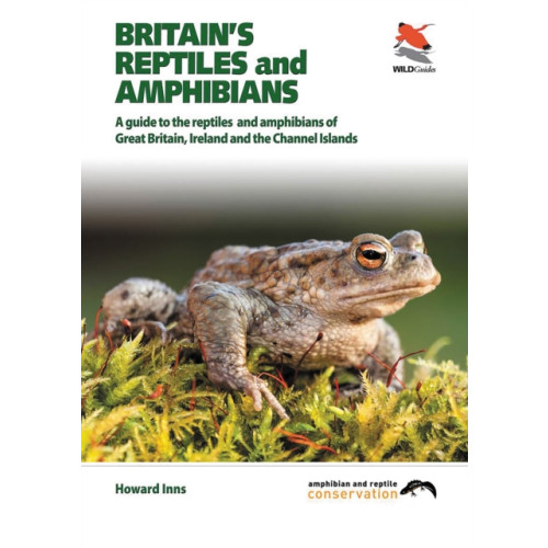 WILDGuides Britain`s Reptiles and Amphibians (häftad, eng)