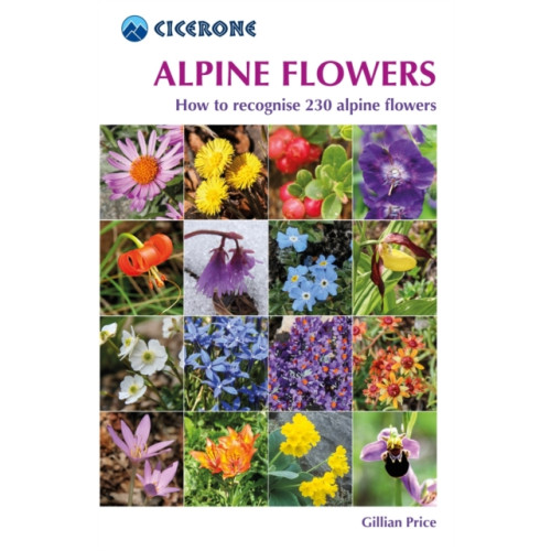 Cicerone Press Alpine Flowers (häftad, eng)