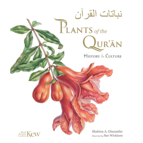 Royal Botanic Gardens Plants of the Quran (inbunden, eng)