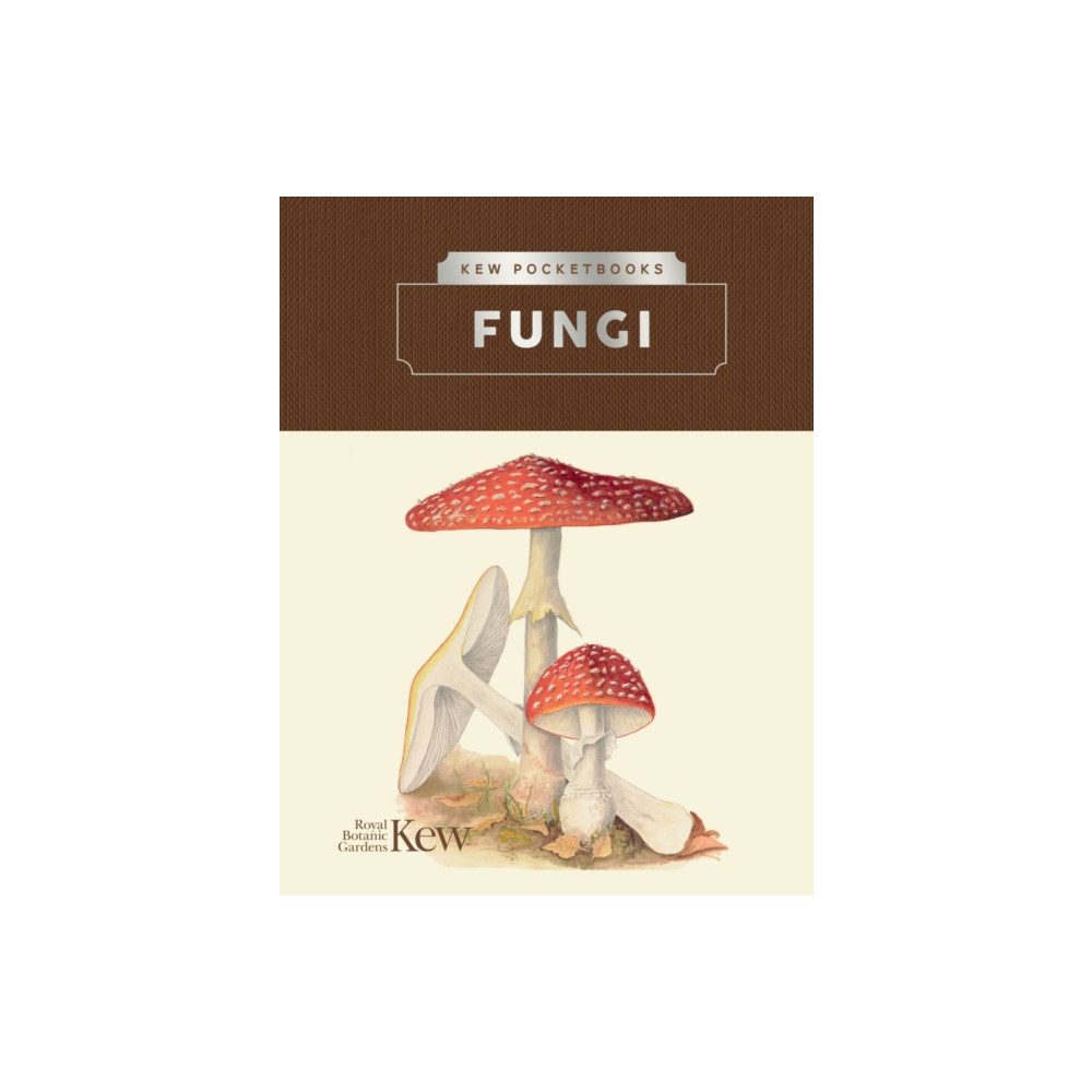 Produktbild för Kew Pocketbooks: Fungi (inbunden, eng)