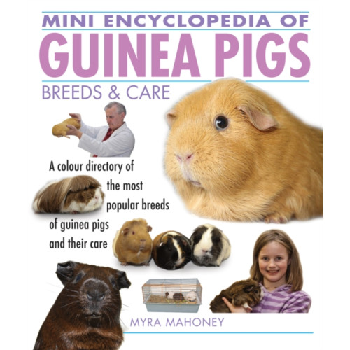 Interpet Publishing Mini Encyclopedia of Guinea Pigs Breeds and Care (häftad, eng)