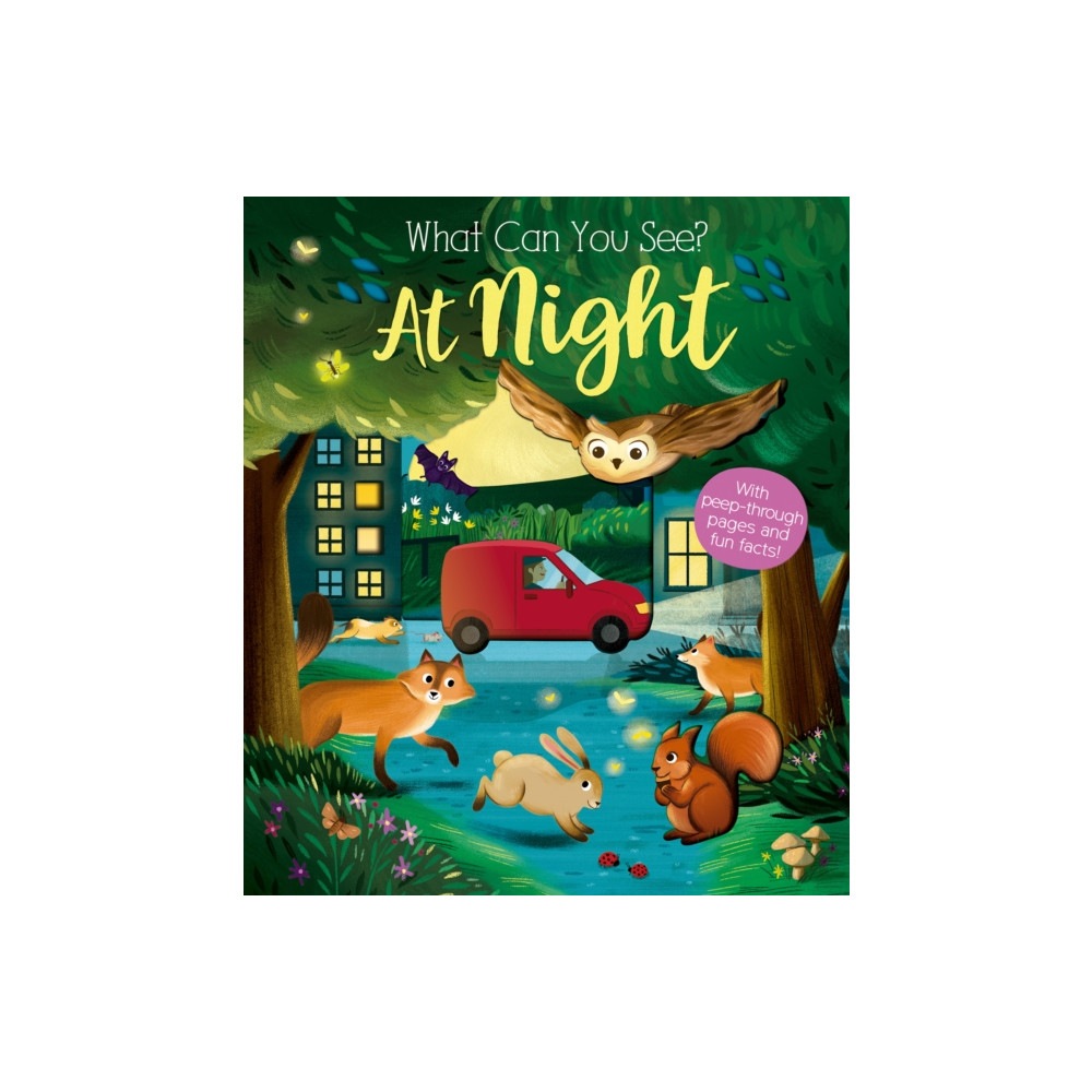 Produktbild för What Can You See At Night? (bok, board book, eng)