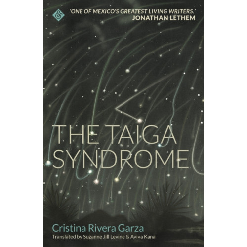 And Other Stories The Taiga Syndrome (häftad, eng)