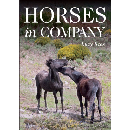 The Crowood Press Ltd Horses in Company (häftad, eng)