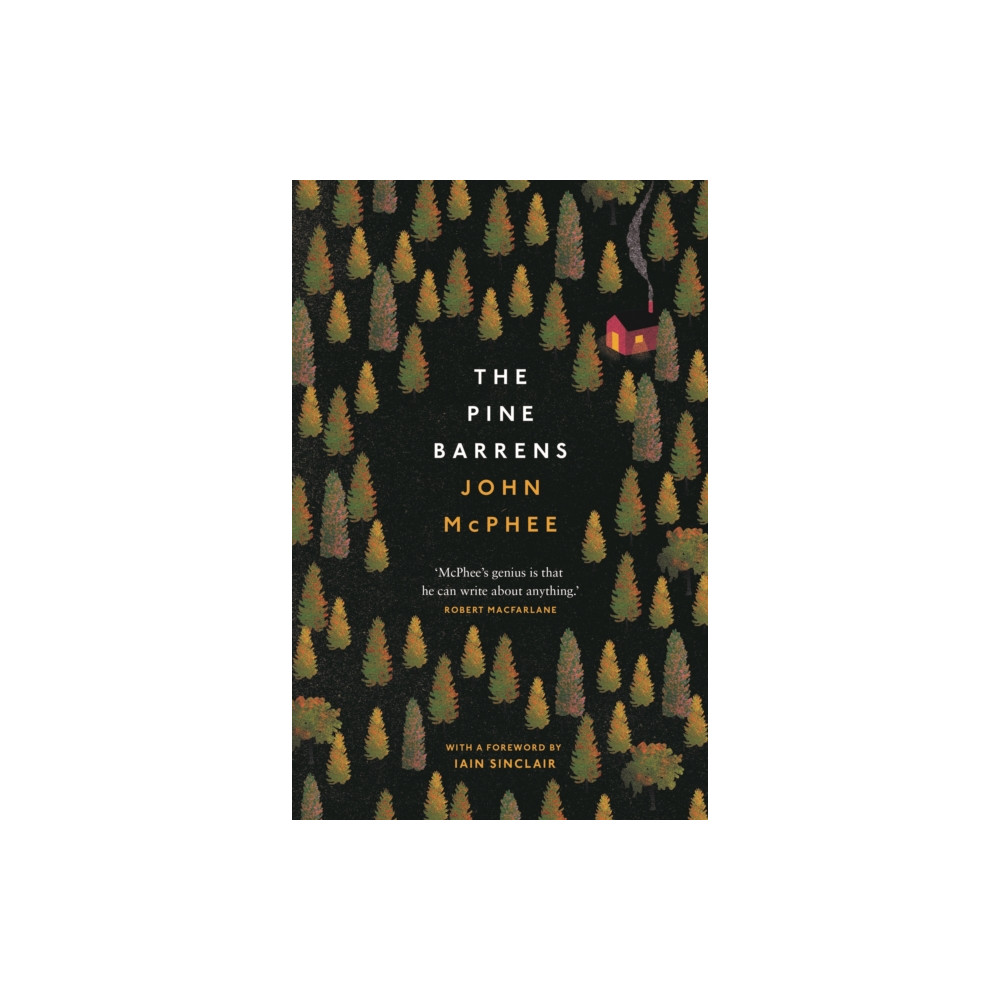 Produktbild för The Pine Barrens (häftad, eng)