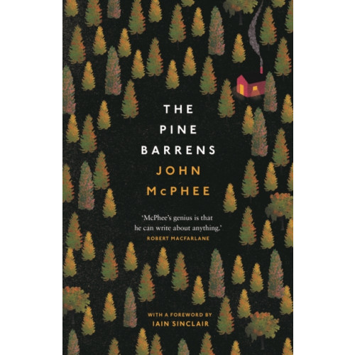 Daunt Books The Pine Barrens (häftad, eng)
