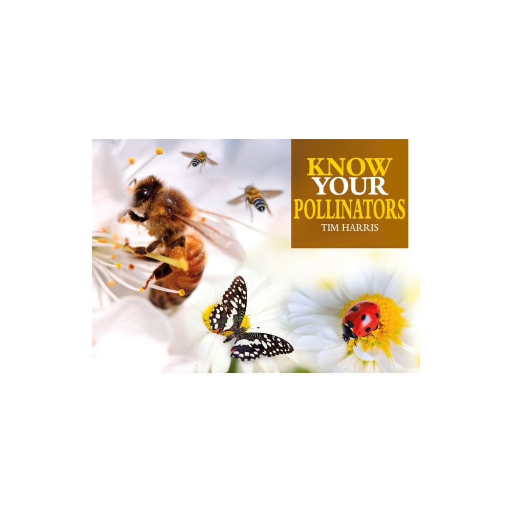 Produktbild för Know Your Pollinators (häftad, eng)