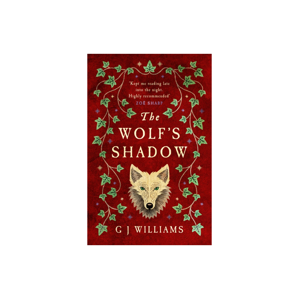 Produktbild för The Wolf's Shadow (häftad, eng)