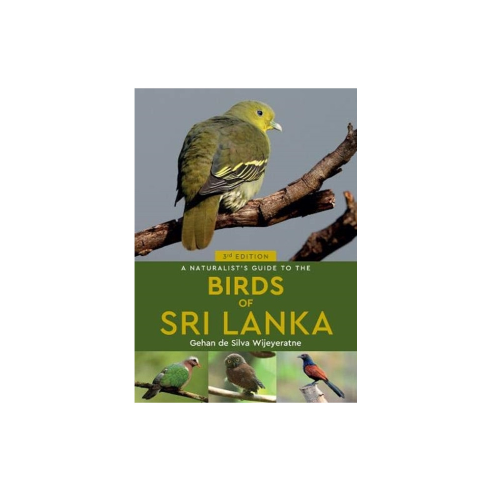 Produktbild för A Naturalist's Guide to the Birds of Sri Lanka (3rd edition) (häftad, eng)