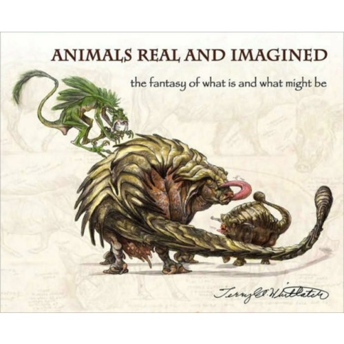 Design Studio Press Animals Real and Imagined (häftad, eng)