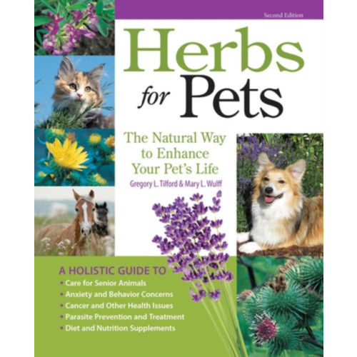 Companion House Herbs for Pets (häftad, eng)