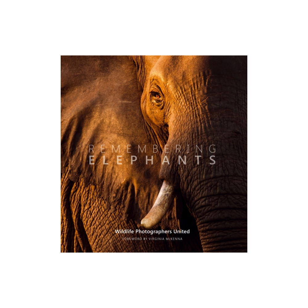 Produktbild för Remembering Elephants (inbunden, eng)