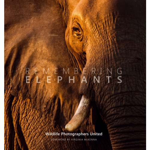 Remembering Wildlife Remembering Elephants (inbunden, eng)