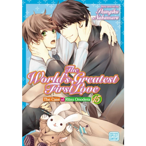 Viz Media, Subs. of Shogakukan Inc The World's Greatest First Love, Vol. 15 (häftad, eng)