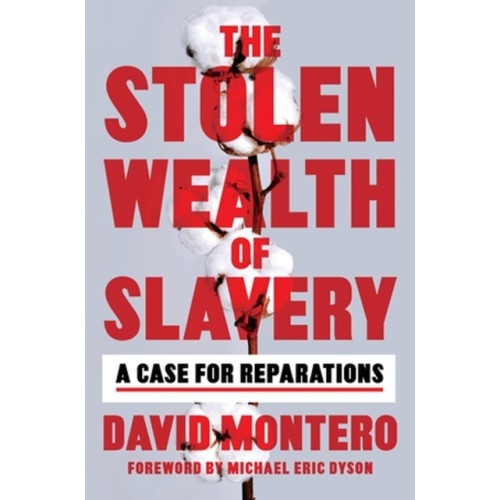 Hachette Books The Stolen Wealth of Slavery (inbunden, eng)