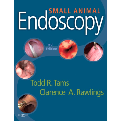 Elsevier - Health Sciences Division Small Animal Endoscopy (inbunden, eng)