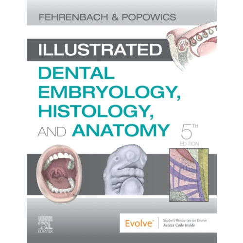 Elsevier - Health Sciences Division Illustrated Dental Embryology, Histology, and Anatomy (häftad, eng)