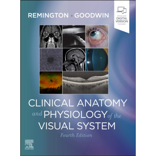 Elsevier - Health Sciences Division Clinical Anatomy and Physiology of the Visual System (inbunden, eng)