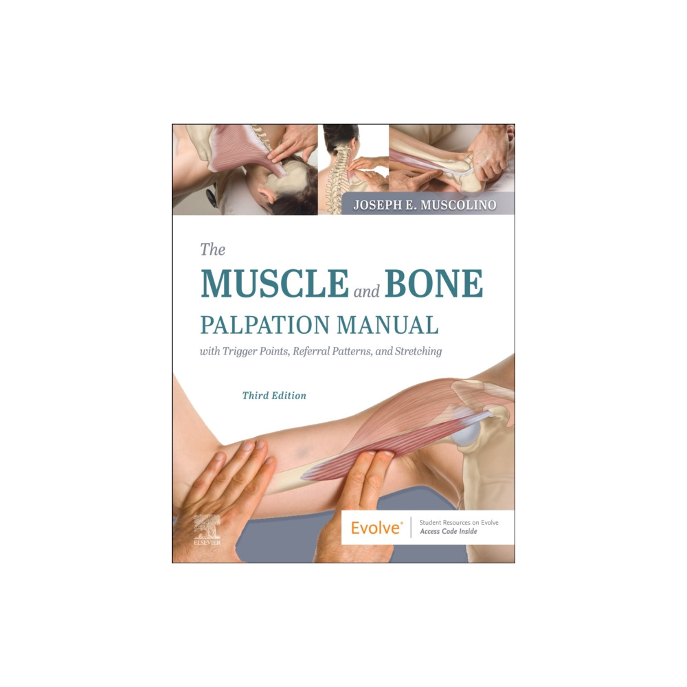 Produktbild för The Muscle and Bone Palpation Manual with Trigger Points, Referral Patterns and Stretching (häftad, eng)